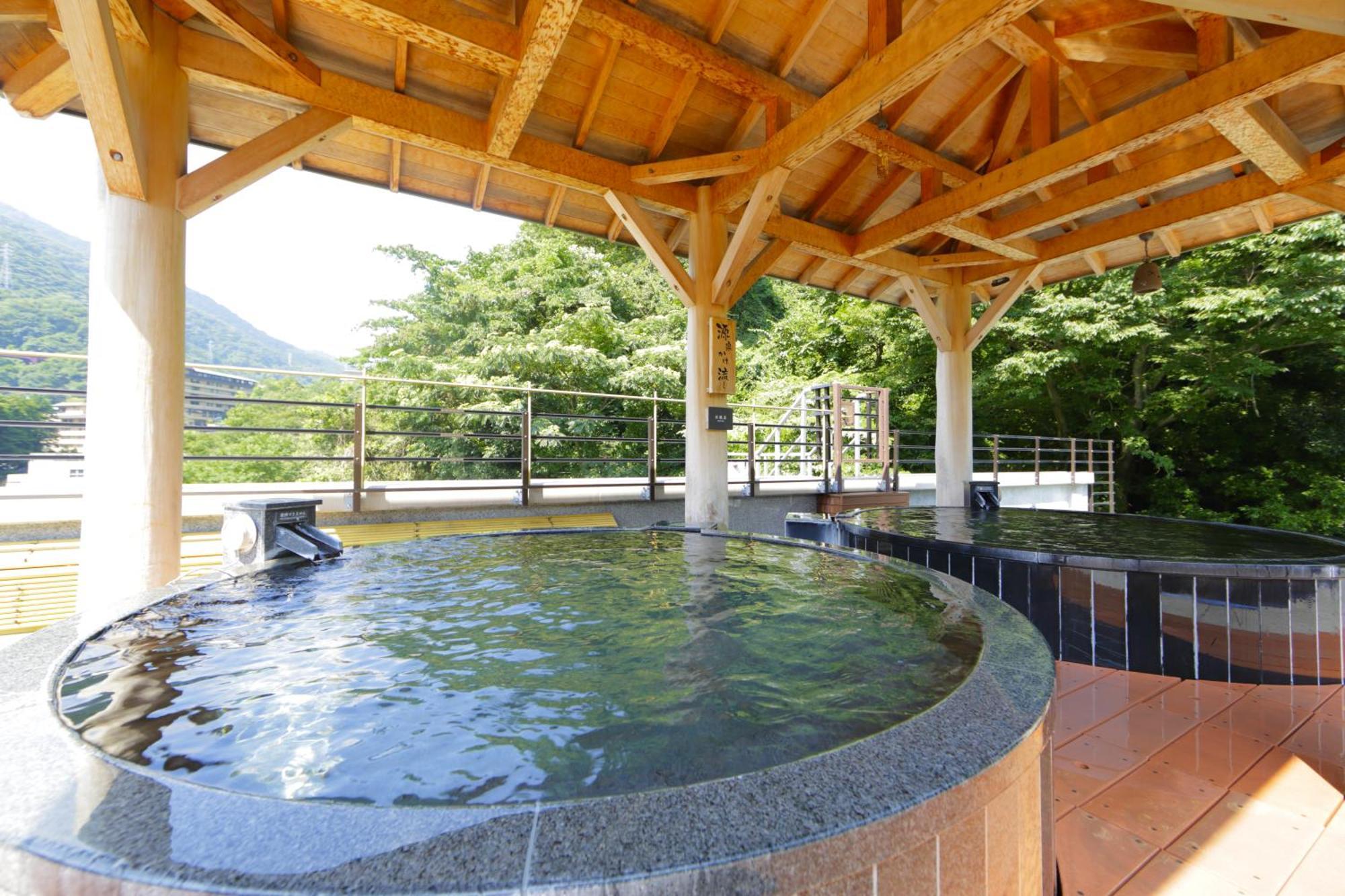 Ryokan Tenseien Hakone